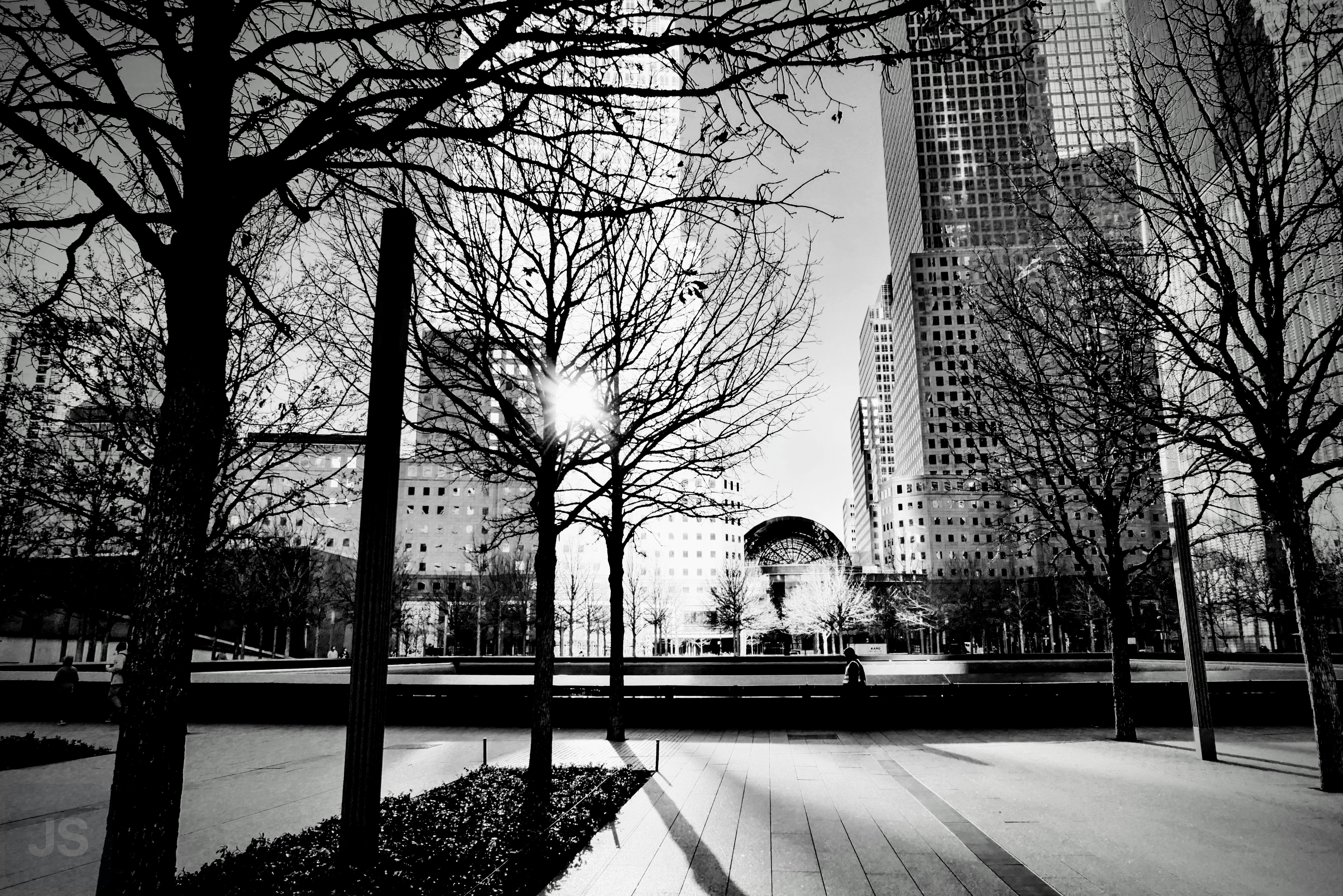 Cities